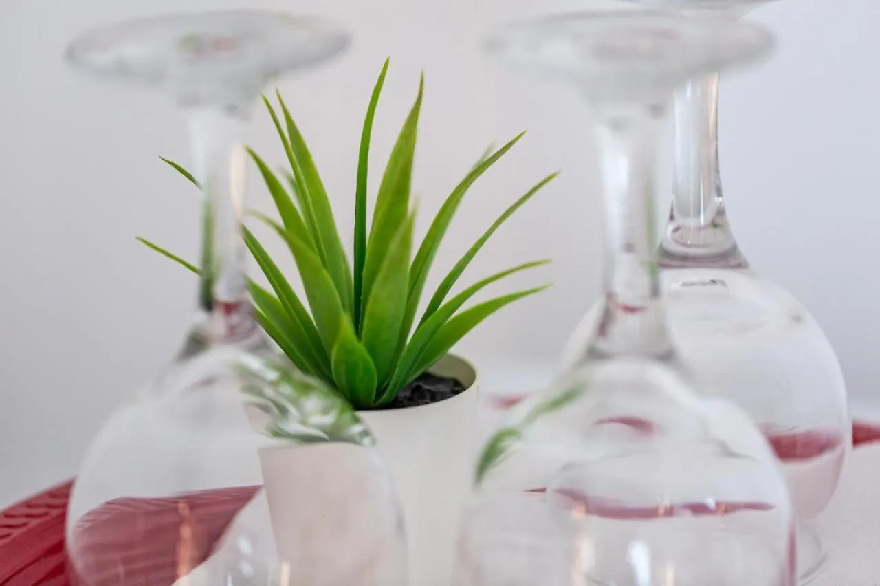 Green House Βουκουρέστι 0*,  Ρουμανία